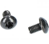 Shimano Lid Fixing Bolt (M3) 2 pcs.