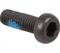 Shimano Clamp Bolt (M5 x 14.9)