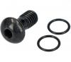 Shimano Banjo Bolt & O-Ring