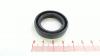 Wolf-Garten Oil Seal 16*22*.03