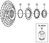 Shimano CS Cassette / Zahnkranz Listas de piezas de repuesto y dibujos CS-HG30-Kassettenzahnkranz 7-fach / ac-Gruppe