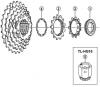 Shimano CS Cassette / Zahnkranz Listas de piezas de repuesto y dibujos  CS-HG30-I Cassette Sprocket 7-Speed / ac-Group