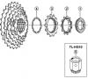 Shimano CS Cassette / Zahnkranz Listas de piezas de repuesto y dibujos CS-HG30-I Cassette Sprocket 7-Speed / ac-Group