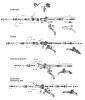 Sram  Listas de piezas de repuesto y dibujos XX (2010-2011) / XX WORLD CUP (2011-2014) - HYDRAULIC DISC BRAKE - LEVERS