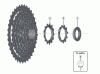 Shimano CS Cassette / Zahnkranz Listas de piezas de repuesto y dibujos CS-HG201-9 Cassette Sprocket (9-speed)