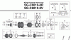 Shimano SG Getriebenabe /Nabenschaltung Listas de piezas de repuesto y dibujos SG-C6010-8R, SG-C6010-8V NEXUS 8-Speed Internal Hub