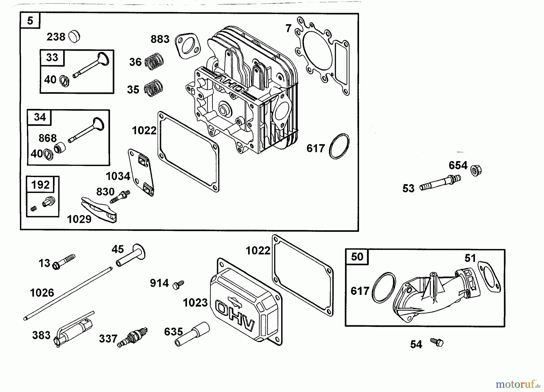  Wolf-Garten Petrol engines Briggs&Stratton Diamond I/C OHV 1001000  (2001) Valve, Cylinder head