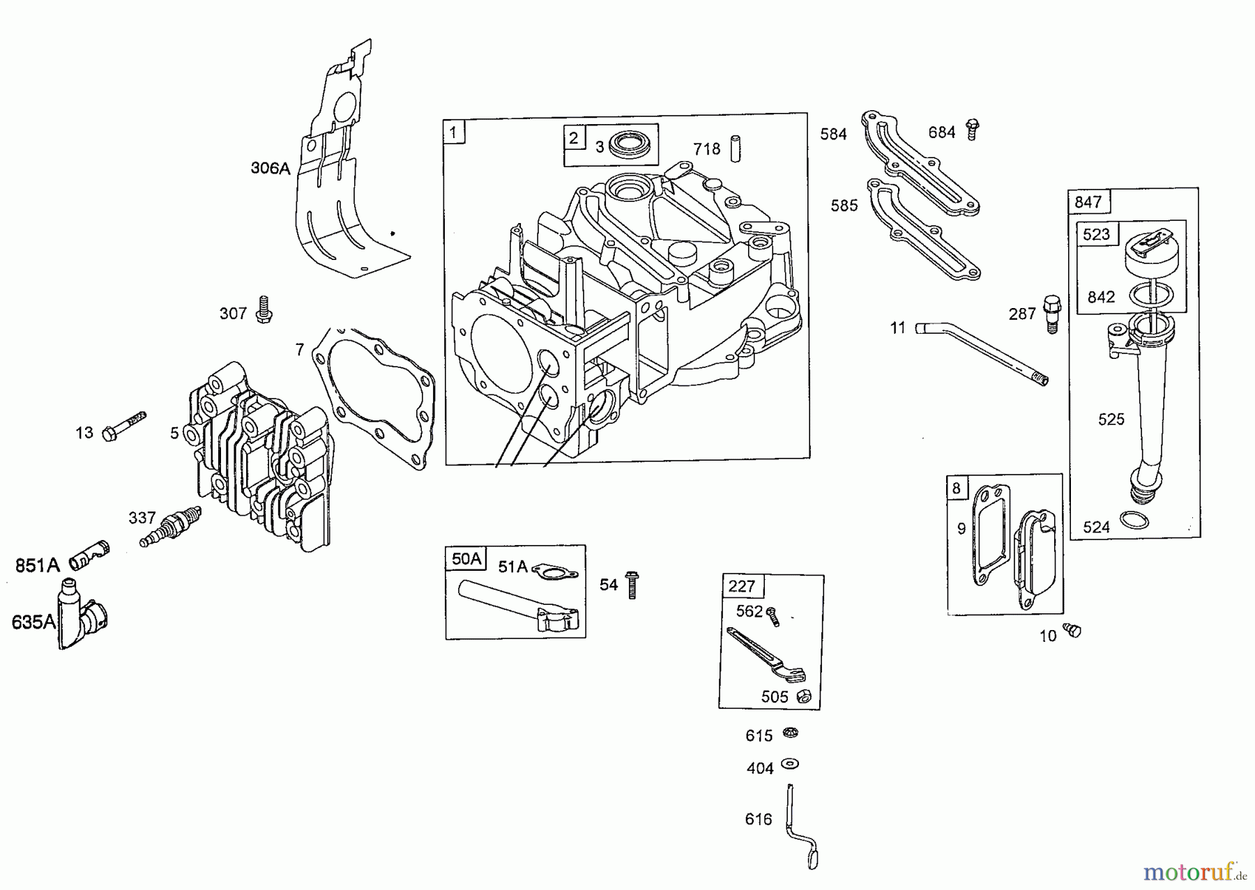  Wolf-Garten Petrol engines Briggs&Stratton Quantum 60675 2061000  (2008) Crankcase, Cylinder head