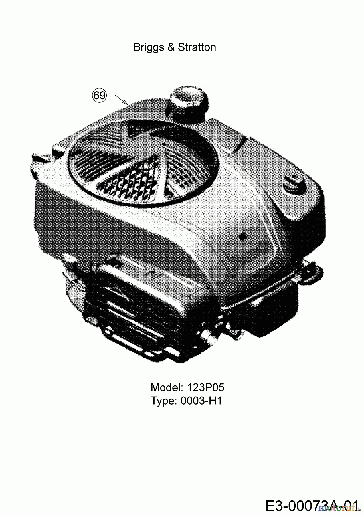  Wolf-Garten Petrol mower self propelled OMEGA2 53 B ES V 12ARZA9B650 (2020) Engine Briggs & Stratton