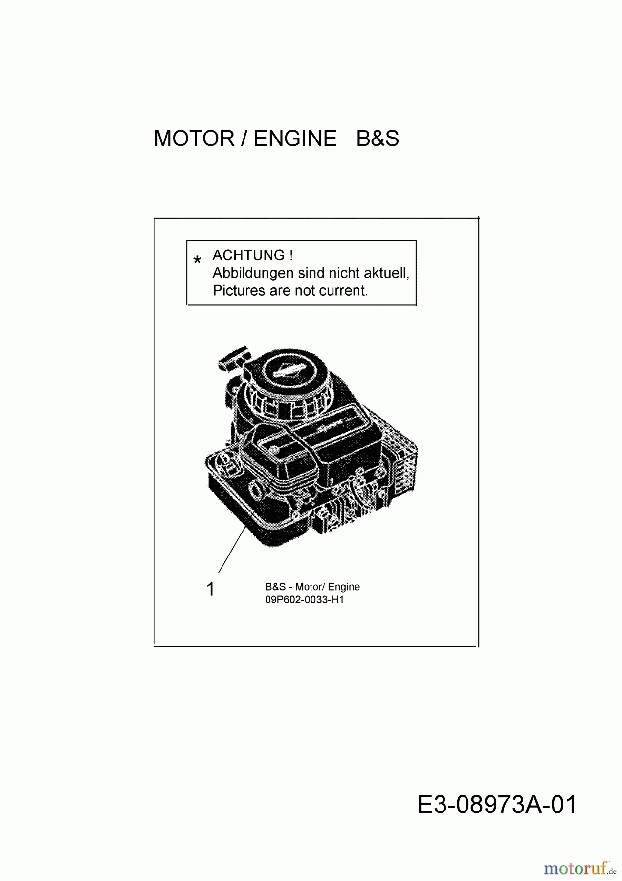  Wolf-Garten Petrol mower A 420 HW 11A-LV5N650  (2015) Engine