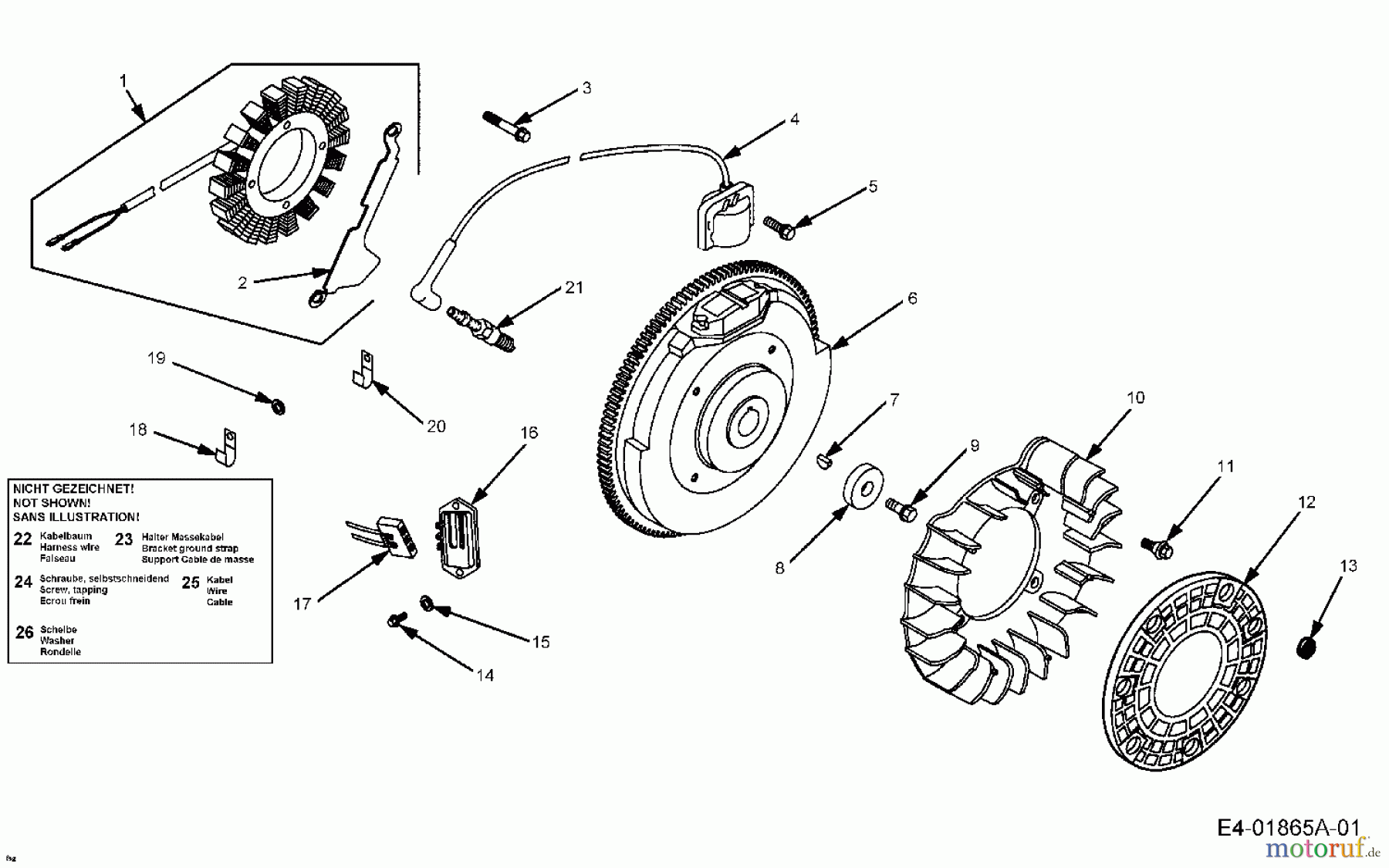  Cub Cadet Lawn tractors HDS 2205 13A-2D7-603  (2006) Ignition