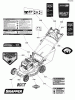 Snapper NXT22875E (7800839) - 22" Walk-Behind Mower, 8.75 HP, Self-Propelled Electric Start Listas de piezas de repuesto y dibujos Decal Group
