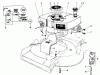 Toro 21738 - Whirlwind Lawnmower, 1981 (1000001-1999999) Listas de piezas de repuesto y dibujos ENGINE ASSEMBLY